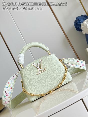 Bagsaaa M14101 LV x TM Capucines Mini Vert d’Eau Green - 21cm
