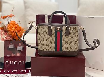 Bagsaaa Gucci Ophidia small tote bag 836848 beige & brown - 22.5cm