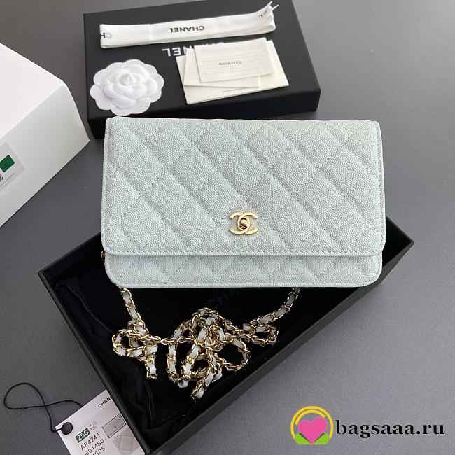 Bagsaaa Chanel Classic Wallet on Chain Light Blue - 12.3 x 19.2 x 3.5cm - 1