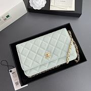 Bagsaaa Chanel Classic Wallet on Chain Light Blue - 12.3 x 19.2 x 3.5cm - 3