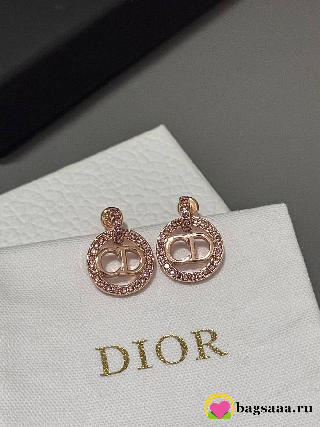 Bagsaaa Dior Earrings 08 - 1