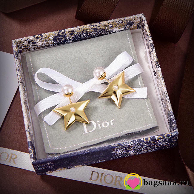 Bagsaaa Dior Earrings 09 - 1