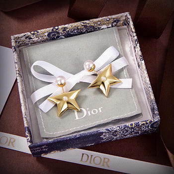 Bagsaaa Dior Earrings 09