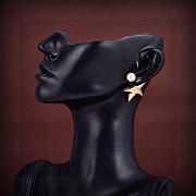 Bagsaaa Dior Earrings 09 - 3