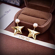 Bagsaaa Dior Earrings 09 - 2