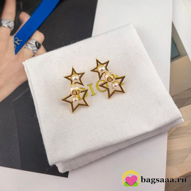 Bagsaaa Dior Earrings 11 - 1