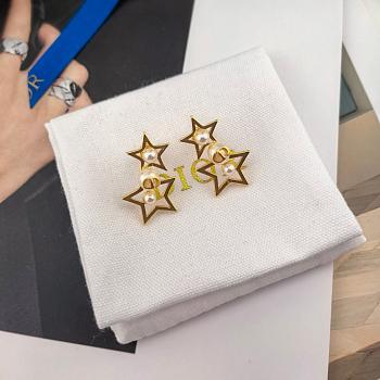 Bagsaaa Dior Earrings 11