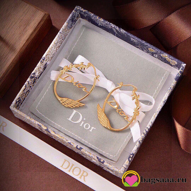 Bagsaaa Dior Earrings 12 - 1