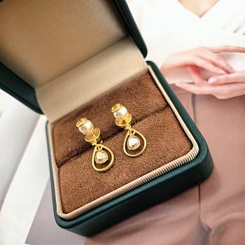 Bagsaaa Dior Earrings 13