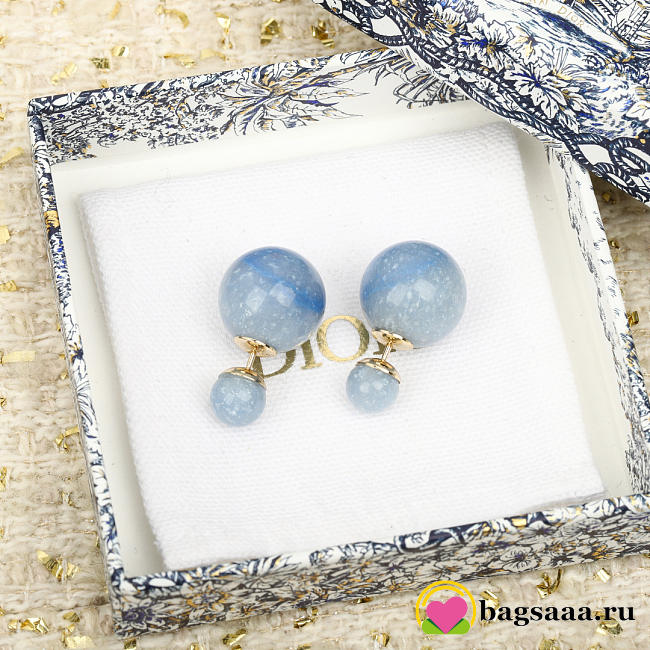 Bagsaaa Dior Earrings 14 - 1