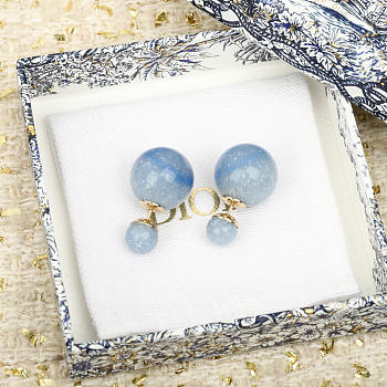 Bagsaaa Dior Earrings 14