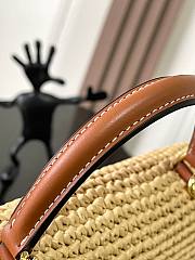 Bagsaaa Celine Teen Nino Bag In Raffia and calfskin 119672 - 20.5cm - 4