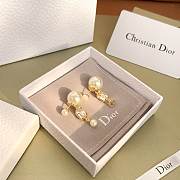 Bagsaaa Dior Earrings - 1
