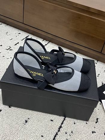 Bagsaaa Chanel Mary Janes G46701 Mesh & Grosgrain