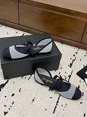 Bagsaaa Chanel Mary Janes G46701 Mesh & Grosgrain - 4