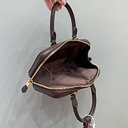 Bagsaaa Miu Miu Arcadie leather mini-bag 5BP088 dark brown - 19cm - 3