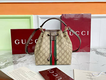 Bagsaaa Gucci Ophidia small bucket bag 841313 - 21.5cm