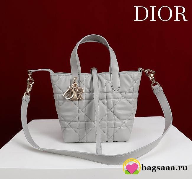 Bagsaaa Small Dior Toujours Vertical Tote Bag Gray Macrocannage Calfskin - 18.5cm - 1