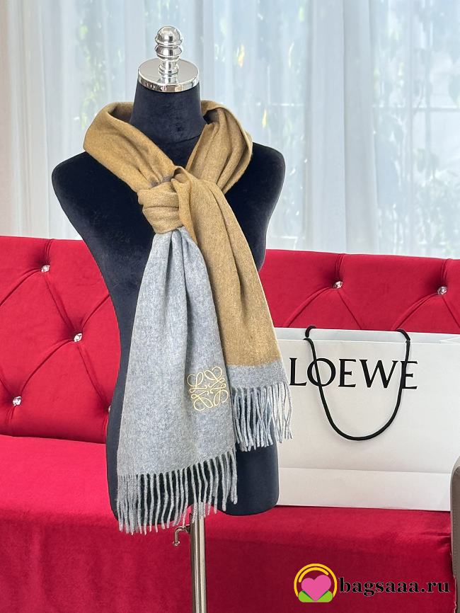 Bagsaaa Loewe Scarf - 1