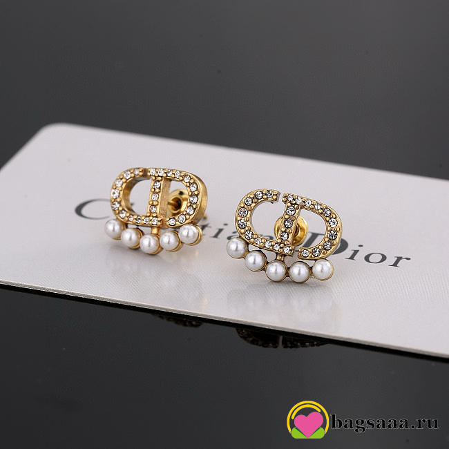 Bagsaaa Dior Earrings 15 - 1