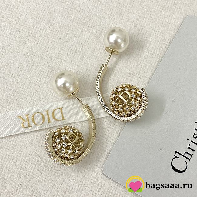 Bagsaaa Dior Earrings 16 - 1