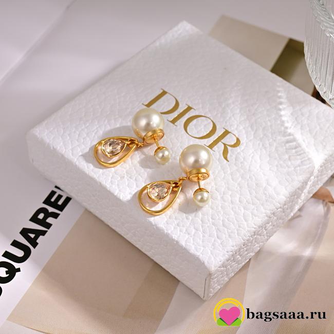 Bagsaaa Dior Earrings 17 - 1