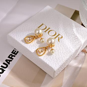 Bagsaaa Dior Earrings 17
