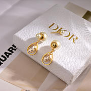 Bagsaaa Dior Earrings 17 - 3
