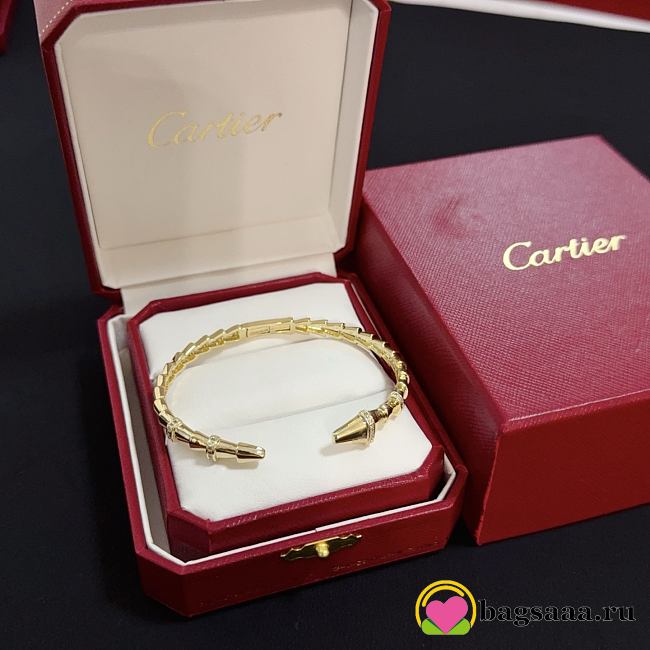 Bagsaaa Cartier Bracelet 04 - 1