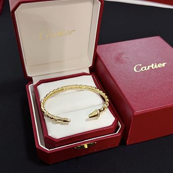 Bagsaaa Cartier Bracelet 04