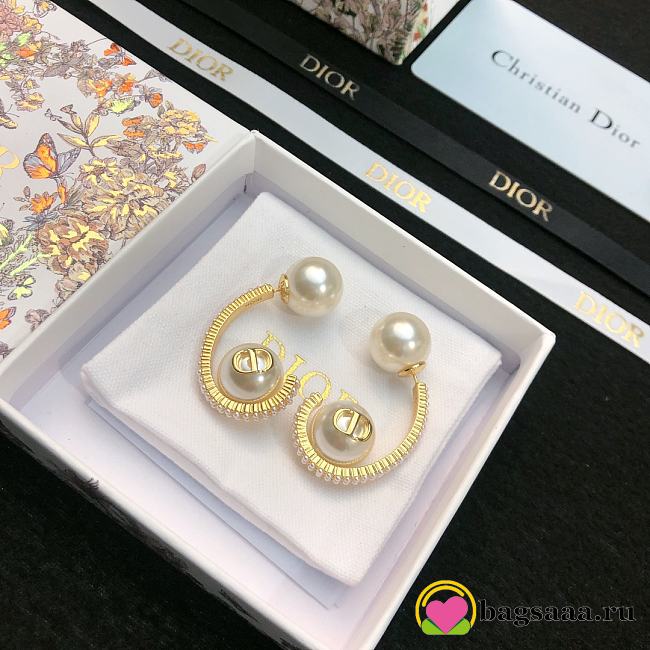 Bagsaaa Dior Earrings 18 - 1