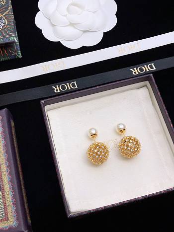 Bagsaaa Dior Earrings 19