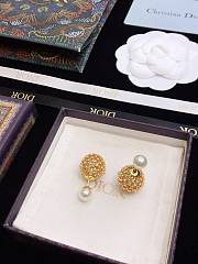Bagsaaa Dior Earrings 19 - 4