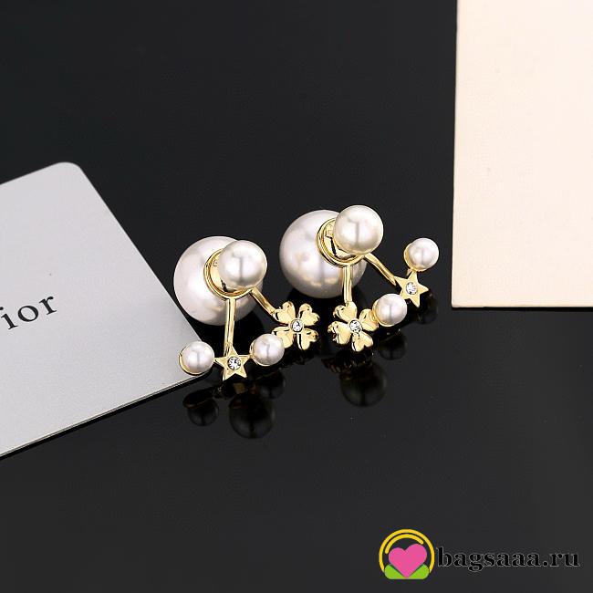 Bagsaaa Dior Earrings 21 - 1