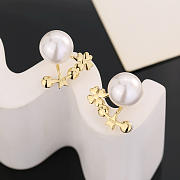 Bagsaaa Dior Earrings 21 - 3