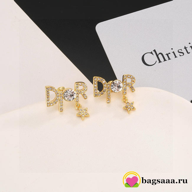 Bagsaaa Dior Earrings 22 - 1