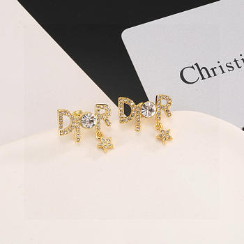 Bagsaaa Dior Earrings 22
