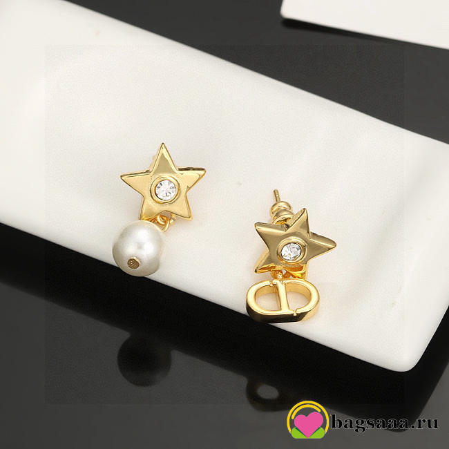 Bagsaaa Dior Earrings 23 - 1