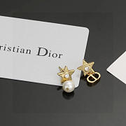 Bagsaaa Dior Earrings 23 - 4
