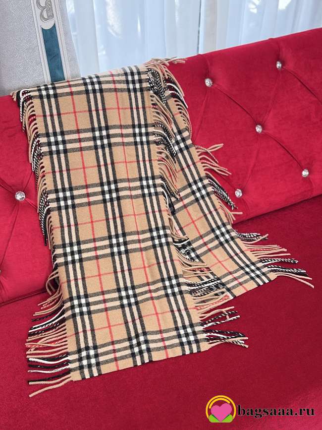 Bagsaaa Burberry Scarf (1) - 1