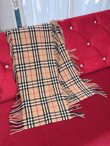 Bagsaaa Burberry Scarf (1)