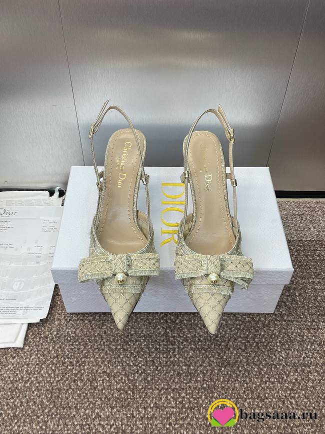 Bagsaaa Dior Adiorable Slingback Pump Transparent Mesh Embroidered with Gold-Tone Laminated Thread and Strass - 10cm - 1