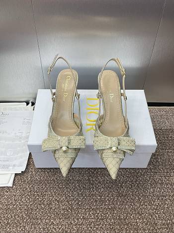 Bagsaaa Dior Adiorable Slingback Pump Transparent Mesh Embroidered with Gold-Tone Laminated Thread and Strass - 10cm