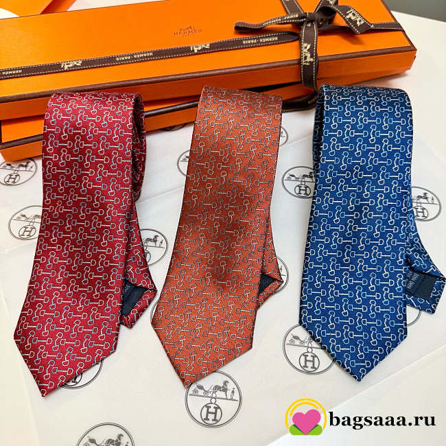 Bagsaaa Hermes Set 3 Ties (2) - 1