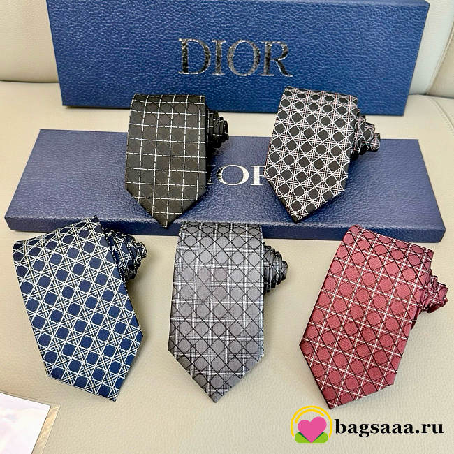 Bagsaaa Dior Set 5 Ties - 1