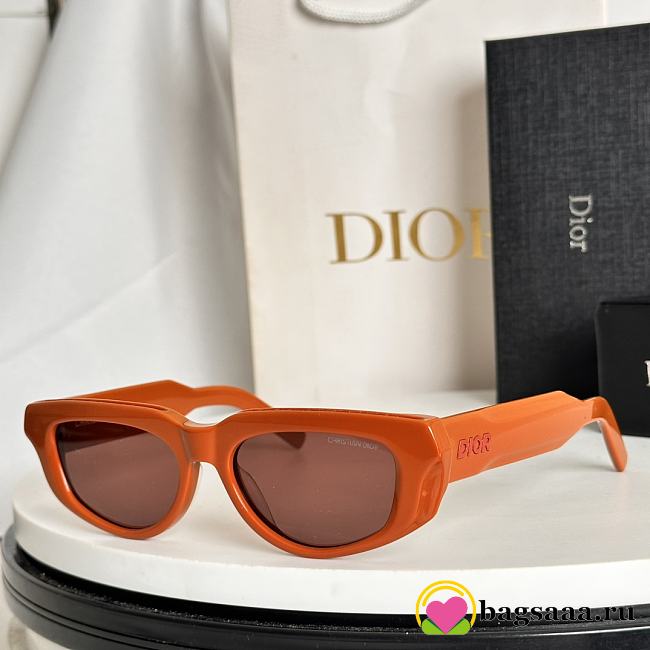 Bagsaaa Dior Glasses 01 - 1
