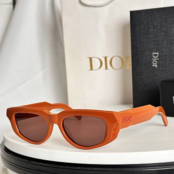 Bagsaaa Dior Glasses 01