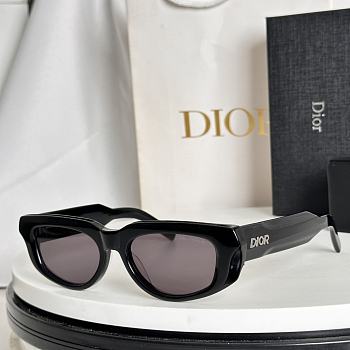 Bagsaaa Dior Glasses 02