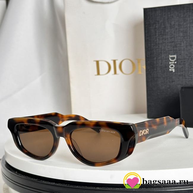 Bagsaaa Dior Glasses 04 - 1