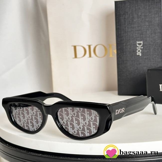 Bagsaaa Dior Glasses 05 - 1